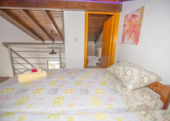 Spiros And Polyxeni * Afión